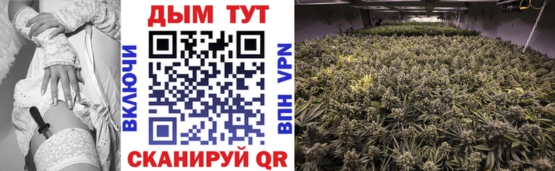 цены наркотик  Ядрин  Бошки Шишки конопля 
